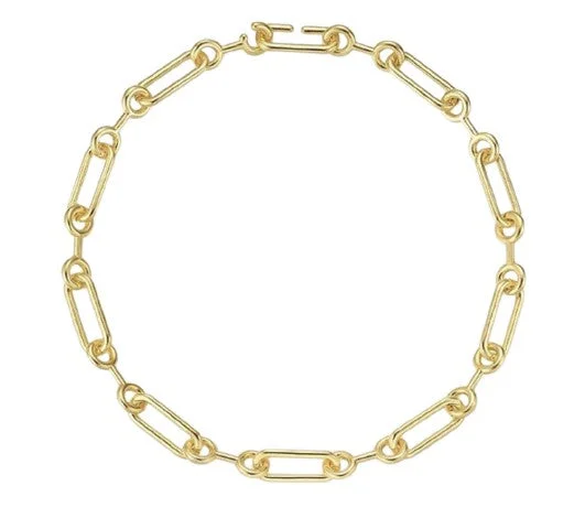 Double Circle Oval Link Necklace